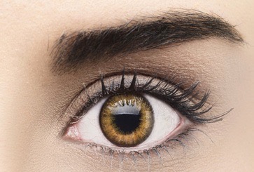 Adria Color Contact Lenses