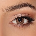 Warm Hazel